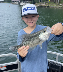 Enjoy Crappie at Lake Martin